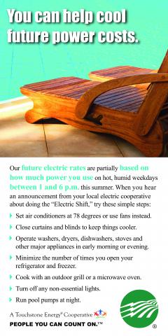 Do The Electric Shift